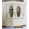 Observations d’histoire naturelle, faites avec le microscope, … 11