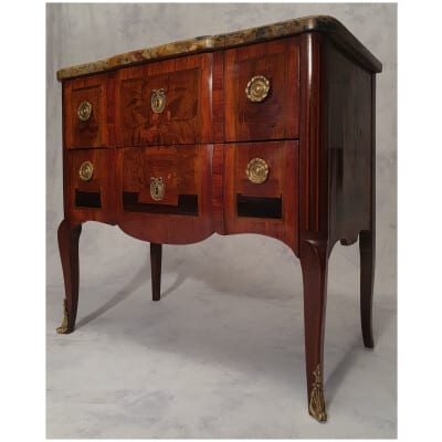 Transition Style Commode - Floral Marquetry - Rosewood - 19th