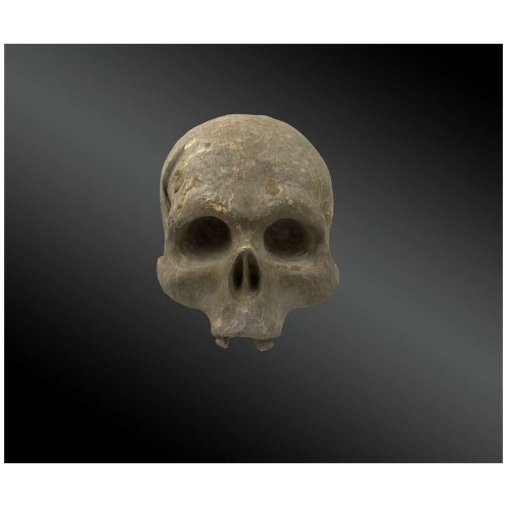 Crâne en bois sculpté et laqué Epoque XVIIIème 4