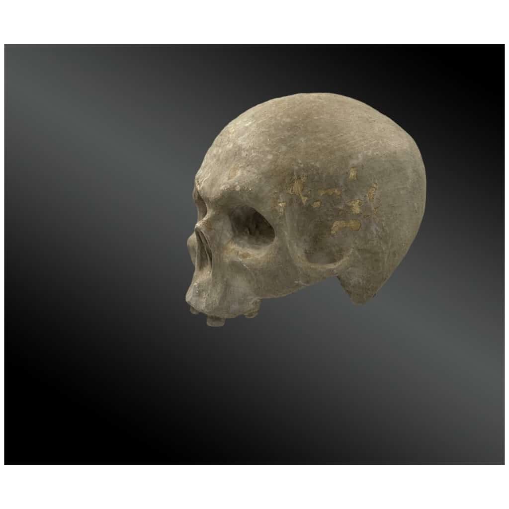Crâne en bois sculpté et laqué Epoque XVIIIème 5