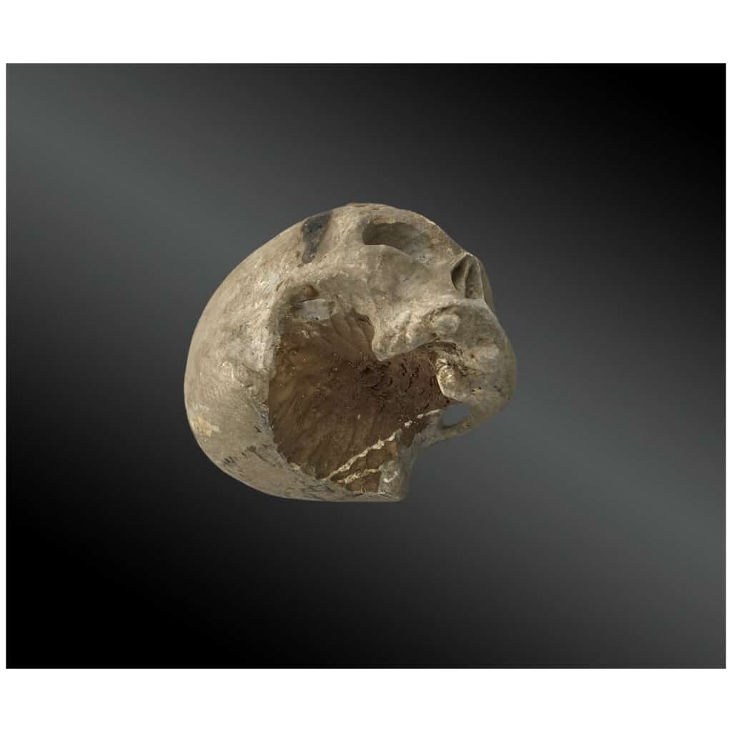 Crâne en bois sculpté et laqué Epoque XVIIIème 6