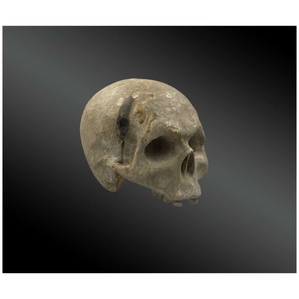 Crâne en bois sculpté et laqué Epoque XVIIIème 3