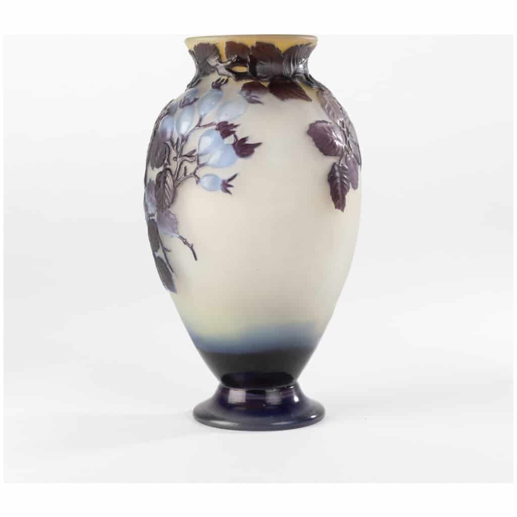 Emile Gallé (1846-1904), multi-layered and blown glass vase decorated with rosehip branches, XIXe 4