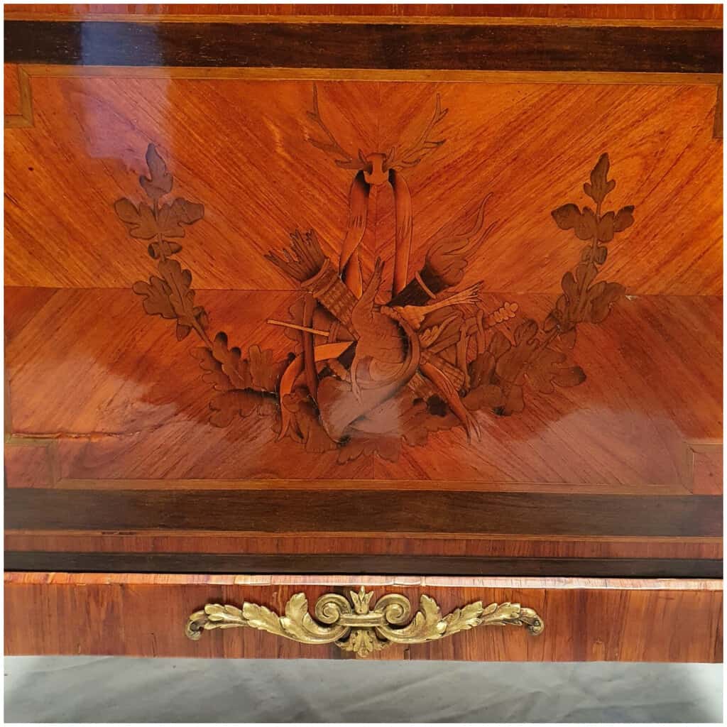 Showcase Louis Style XVI – Marquetry – Amaranth & Rosewood – 19th 10