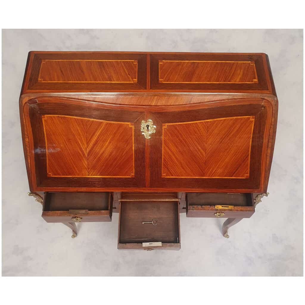 Secretary Transition Period Louis XV, Louis XVI – Rosewood & Palisander – 18th 15