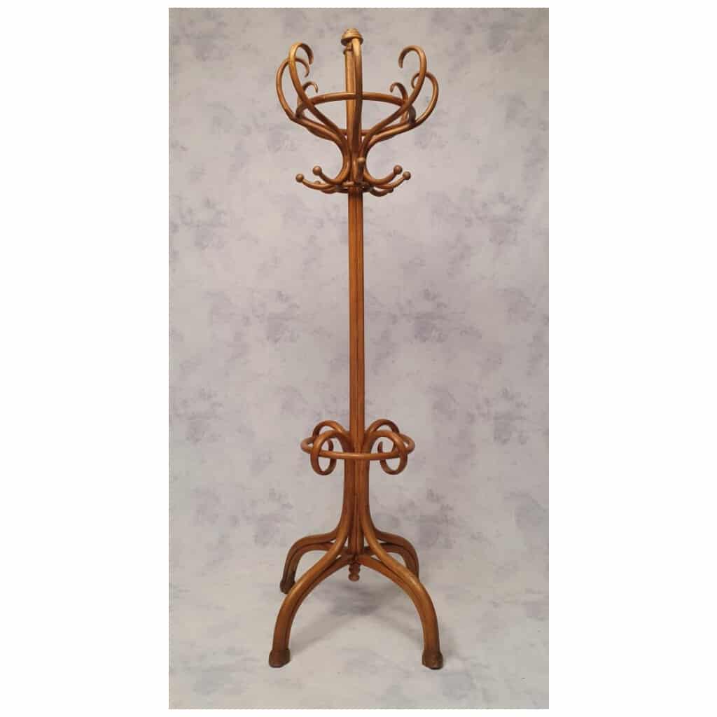 Porte-Manteau Perroquet Époque Art Nouveau – Thonet – Ca 1900 4