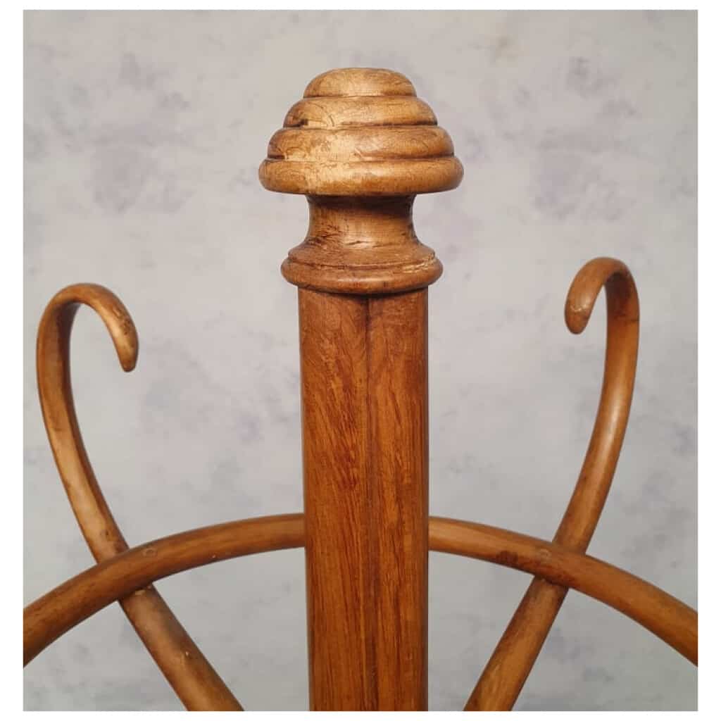 Porte-Manteau Perroquet Époque Art Nouveau – Thonet – Ca 1900 10