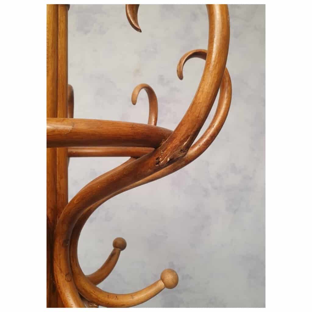 Porte-Manteau Perroquet Époque Art Nouveau – Thonet – Ca 1900 12