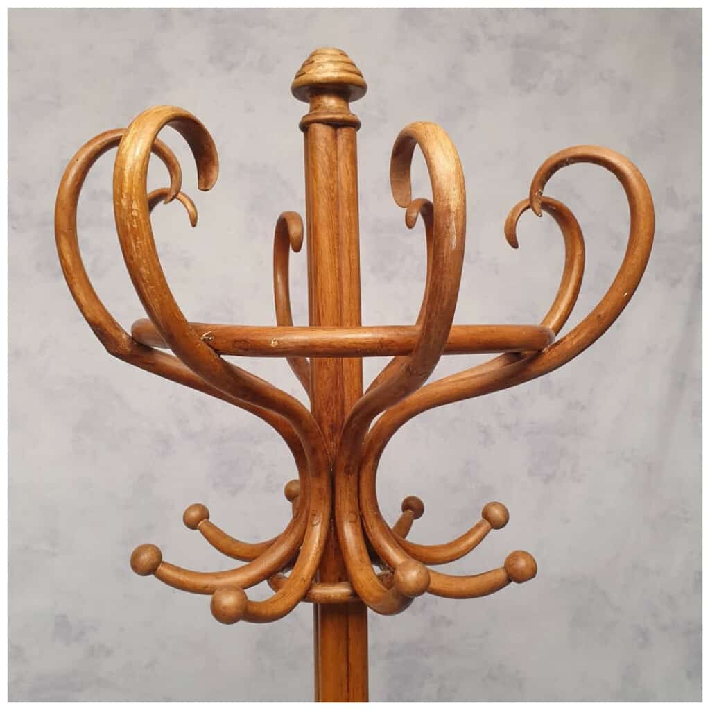 Porte-Manteau Perroquet Époque Art Nouveau – Thonet – Ca 1900 5