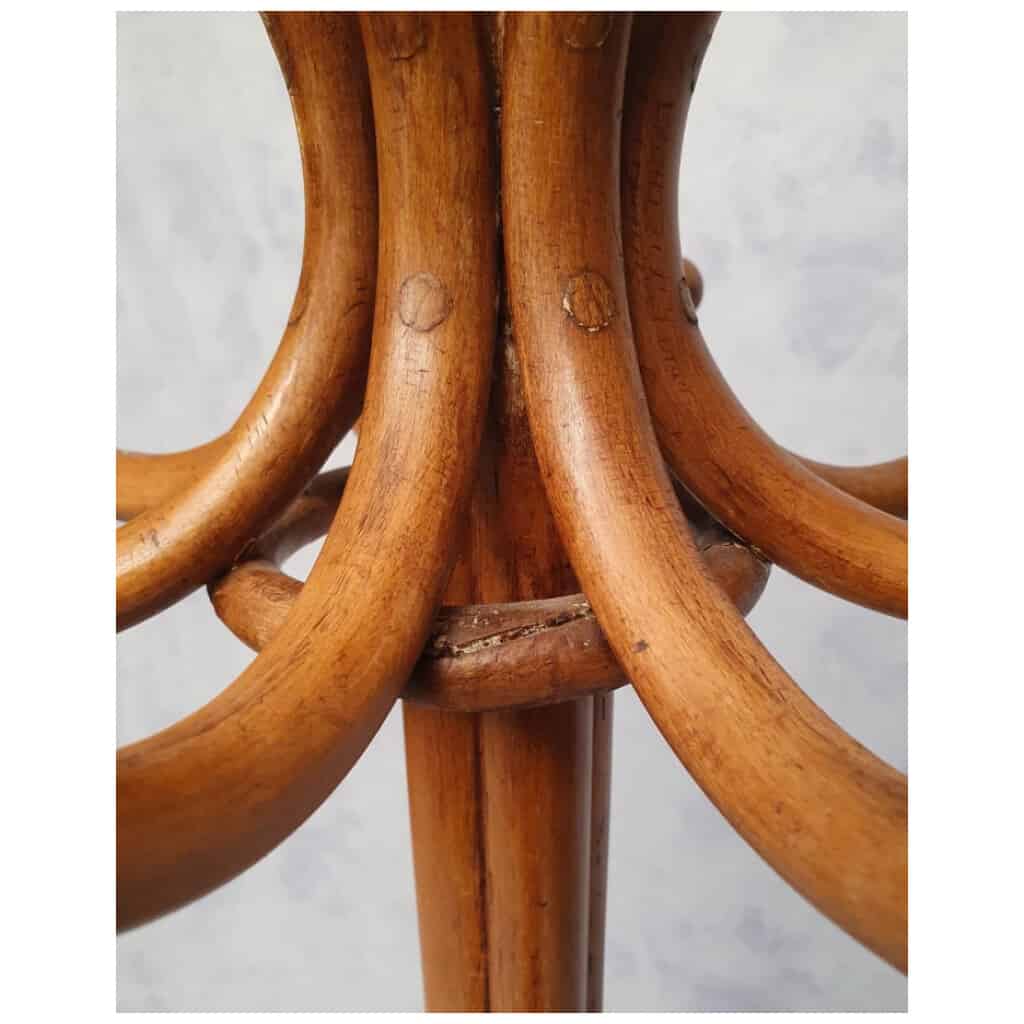 Porte-Manteau Perroquet Époque Art Nouveau – Thonet – Ca 1900 11