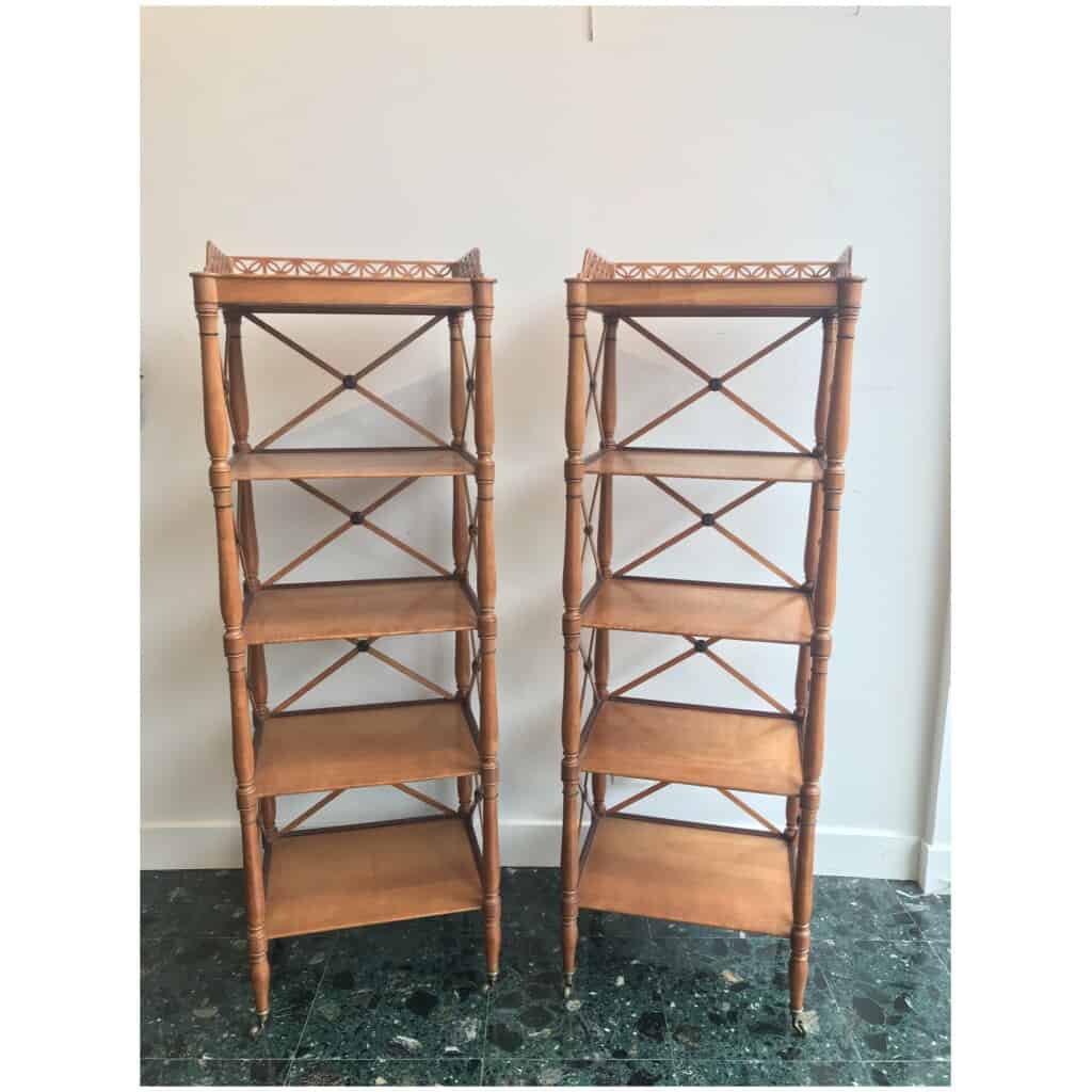 Pair of Maple and Amaranth Shelves, Charles X 6 Period