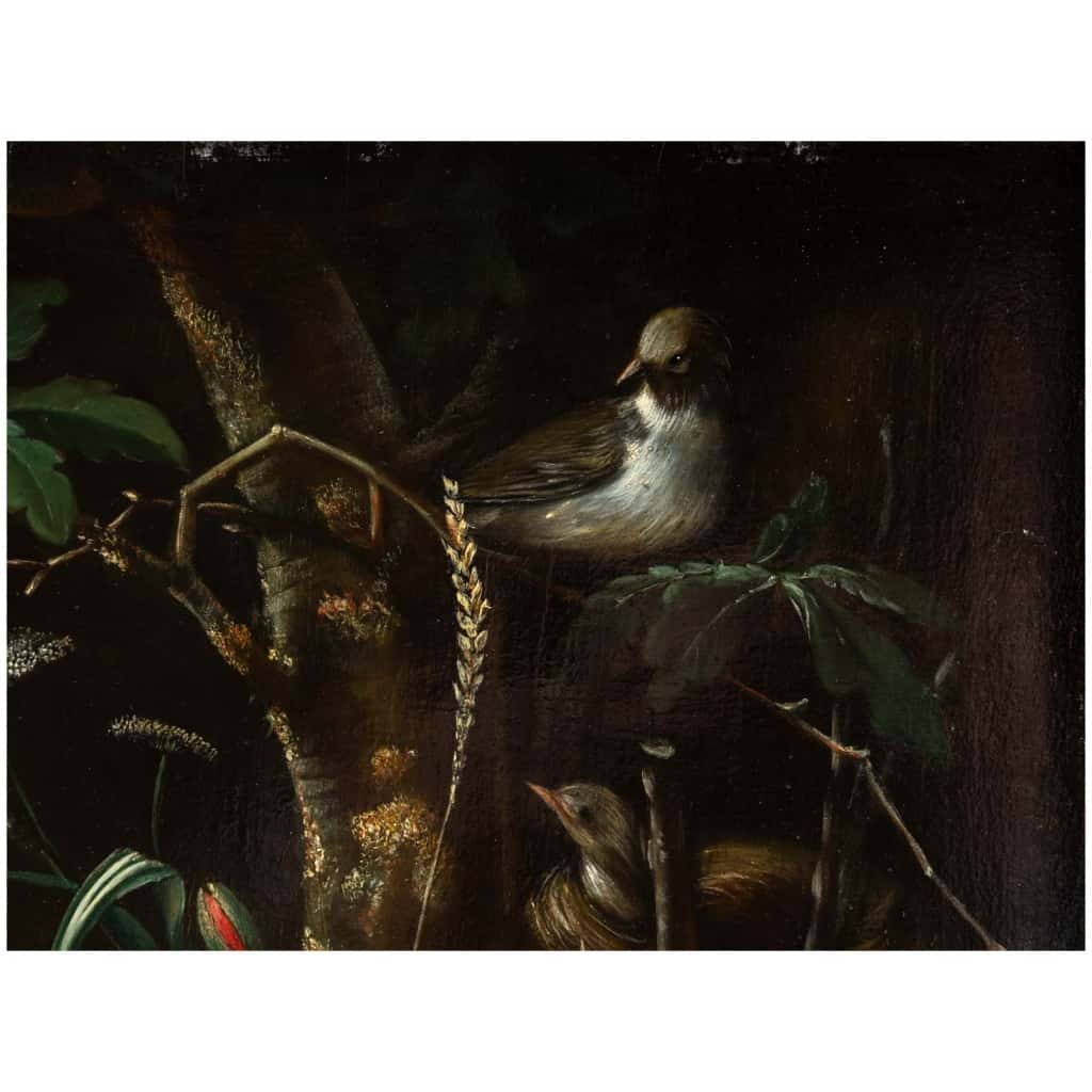 Nature Morte aux fleurs et animaux. XIX ème Siècle. Dans Le Goût De Van Schrieck. 4