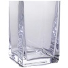 Hilton McConnico & Daum France : Carafe « Cactus » 11