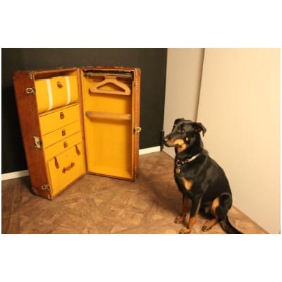 Malle Louis Vuitton wardrobe en cuir