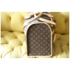 Louis Vuitton Sac Chien 40 cm 32