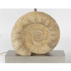 1970 Lampe en Métal Argenté et Ammonite Willy Daro 10
