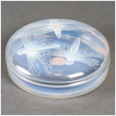 1921 René Lalique – Boîte Libellules Verre Opalescent