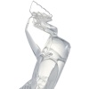 René Lalique : Mascotte « Coq Houdan » 9