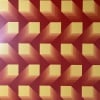 Jim Bird Tribute to Vasarely 13