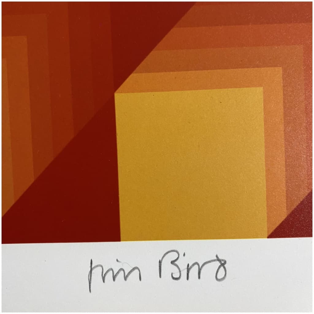 Jim Bird Tribute to Vasarely 4