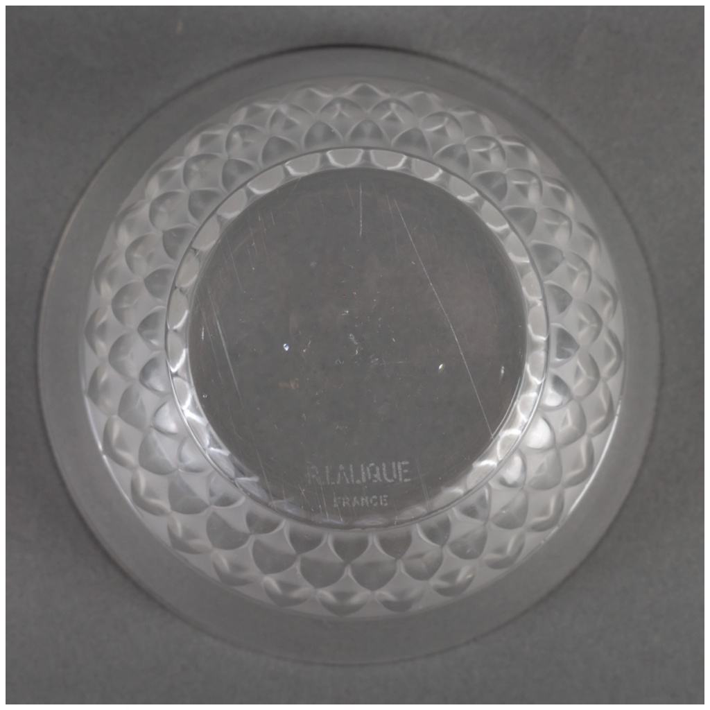 1931 René Lalique – Saint Cyr Glass Table Service 6 Bowls 6 Plates 9