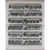 L’Arche de Noé d’Athanasius Kircher 10