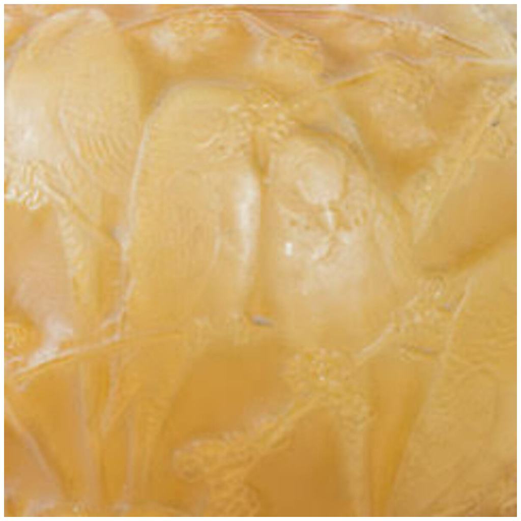 René Lalique ,1919 ,Vase « Perruches » Butterscotch. 4