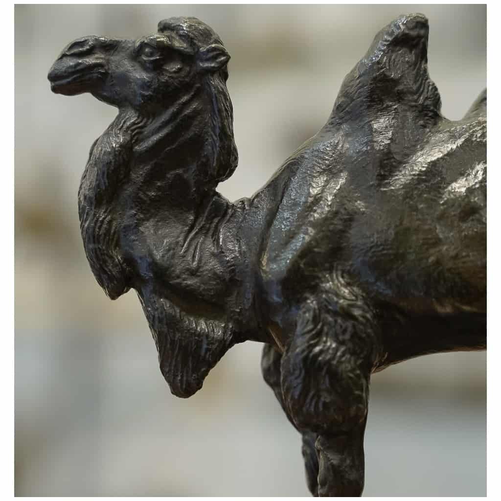 Sculpture – Le Chameau , Alfred Barye (1839-1895) – Bronze 4
