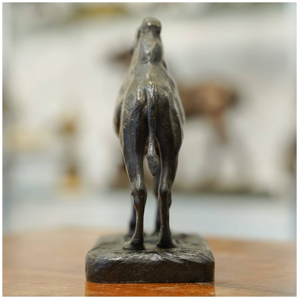 Sculpture – Le Chameau , Alfred Barye (1839-1895) – Bronze 8