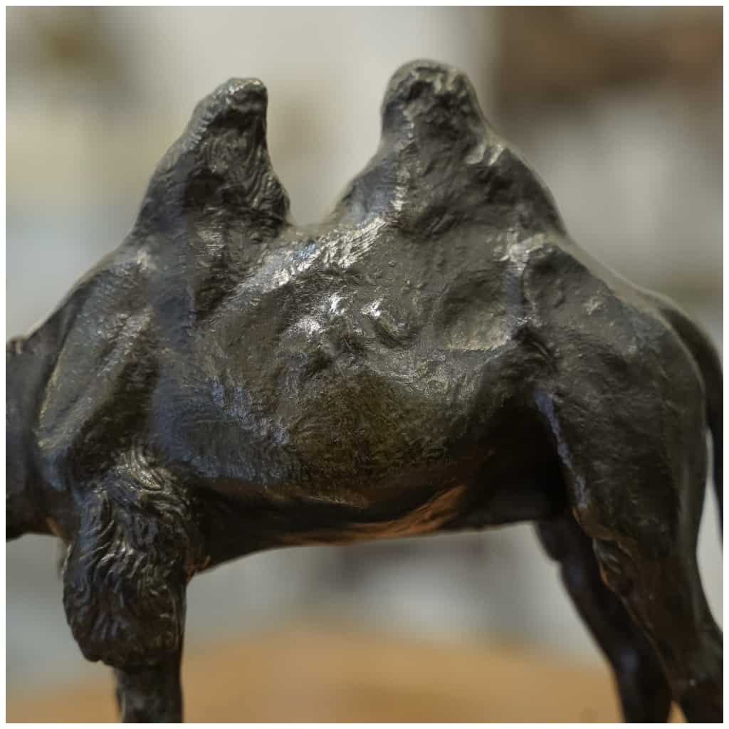 Sculpture – Le Chameau , Alfred Barye (1839-1895) – Bronze 9
