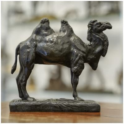 Sculpture – Le Chameau , Alfred Barye (1839-1895) – Bronze
