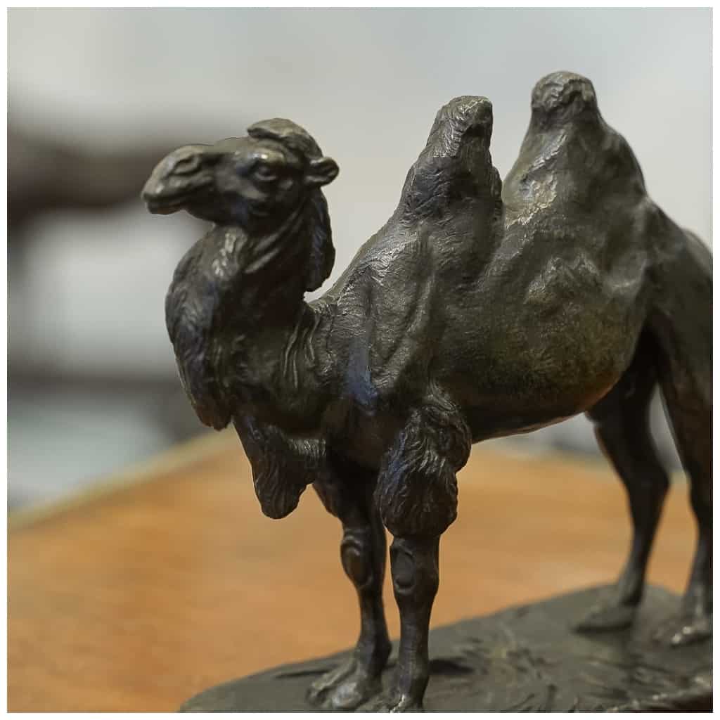 Sculpture – Le Chameau , Alfred Barye (1839-1895) – Bronze 10