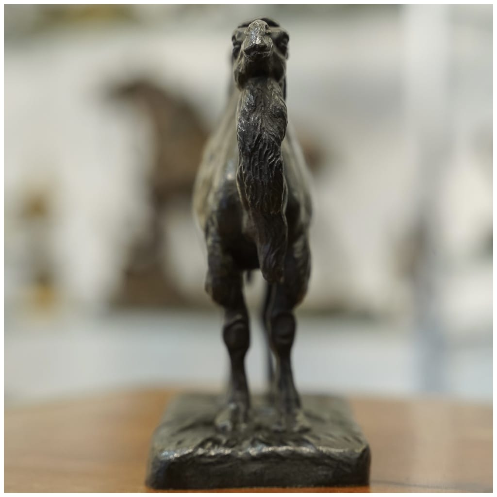 Sculpture – The Camel, Alfred Barye (1839-1895) – Bronze 6