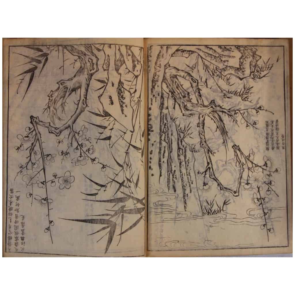 The most beautiful book of the Ming dynasty 7