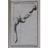 Grammaire du style Louis XV 11