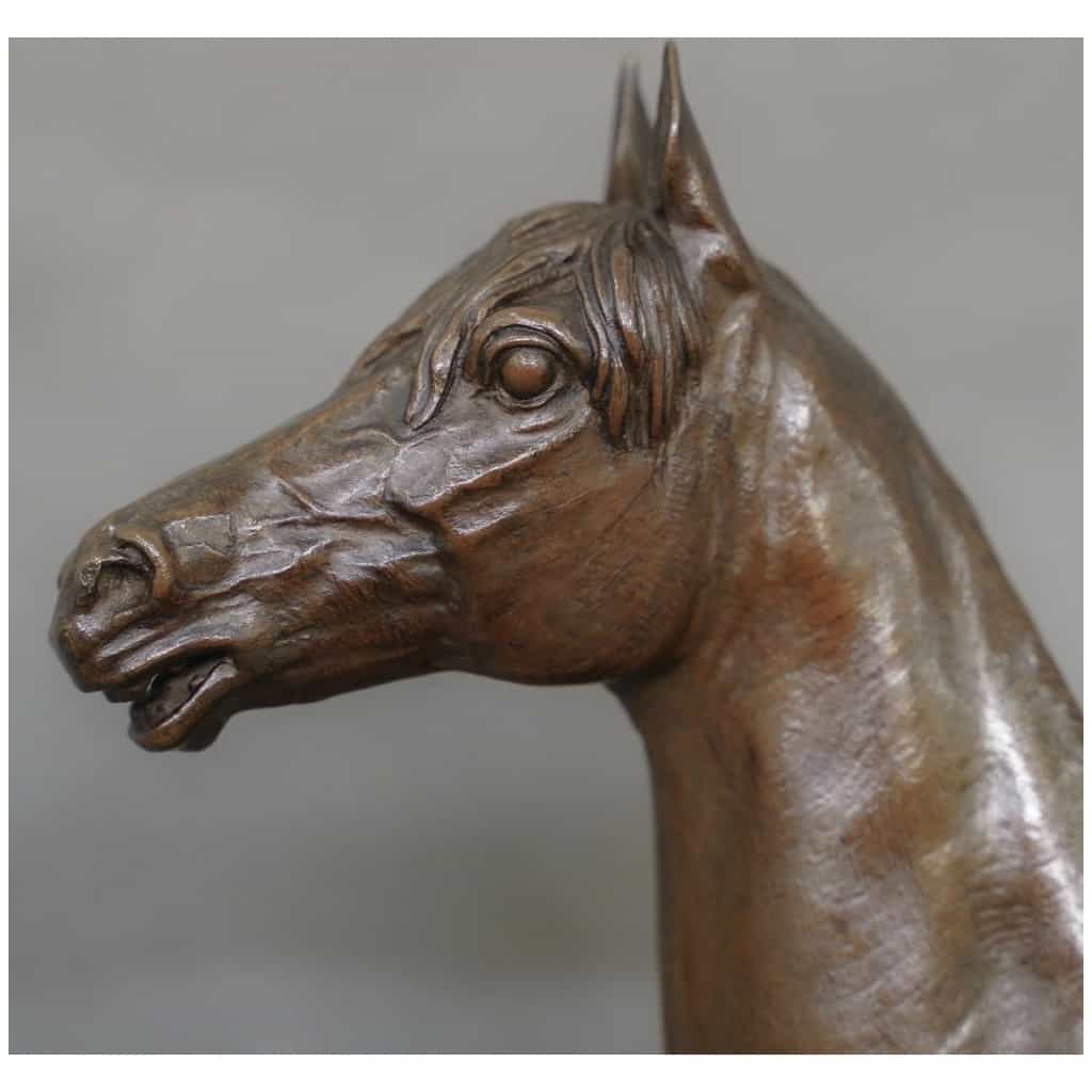 Sculpture – Thoroughbred horse “KAOLIN”, Alfred Dubucand (1828 – 1894) – Bronze 5