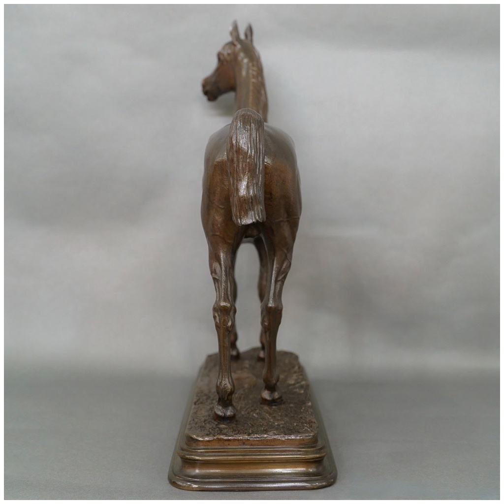 Sculpture – Cheval Pur-Sang « KAOLIN » , Alfred Dubucand (1828 – 1894) – Bronze 8