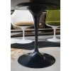 Knoll Studio, table Tulip 11