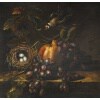 Nature Morte Aux Raisin et à la grenade. XIXème siècle. 12