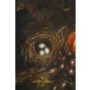 Nature Morte Aux Raisin et à la grenade. XIXème siècle. 14