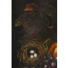 Nature Morte Aux Raisin et à la grenade. XIXème siècle. 15
