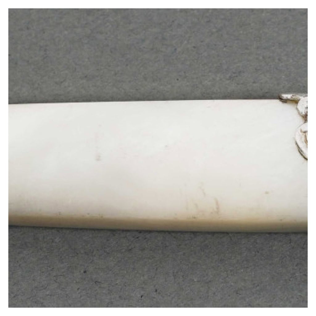 ORFÈVRE MERITE – ENSEMBLE DE 36 COUTEAUX EN NACRE ET ARGENT FIN XIXE 20