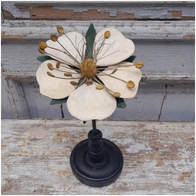 Modèle anatomique, fleur de cerisier, fin XIXÈME