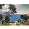 JAMET Henri Le Cap Ferrat en 1927 Huile sur toile signée et datée 1927 certificat d’authenticité 15