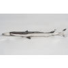 Gio Ponti : Requin en argent massif 15