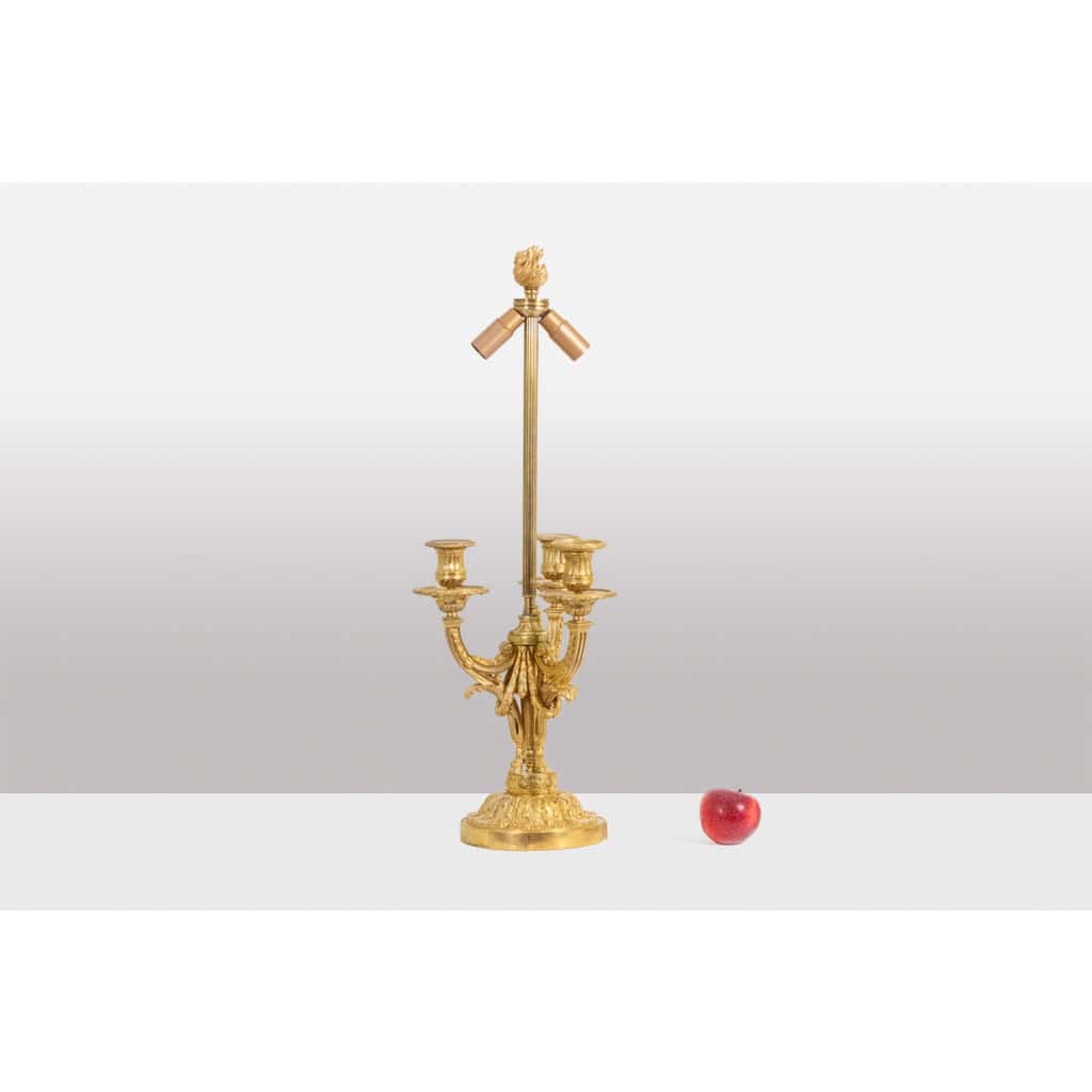 Eugène Bazart Paris. Gilded bronze hot water bottle lamp. Circa 1880. LS60331509G 4