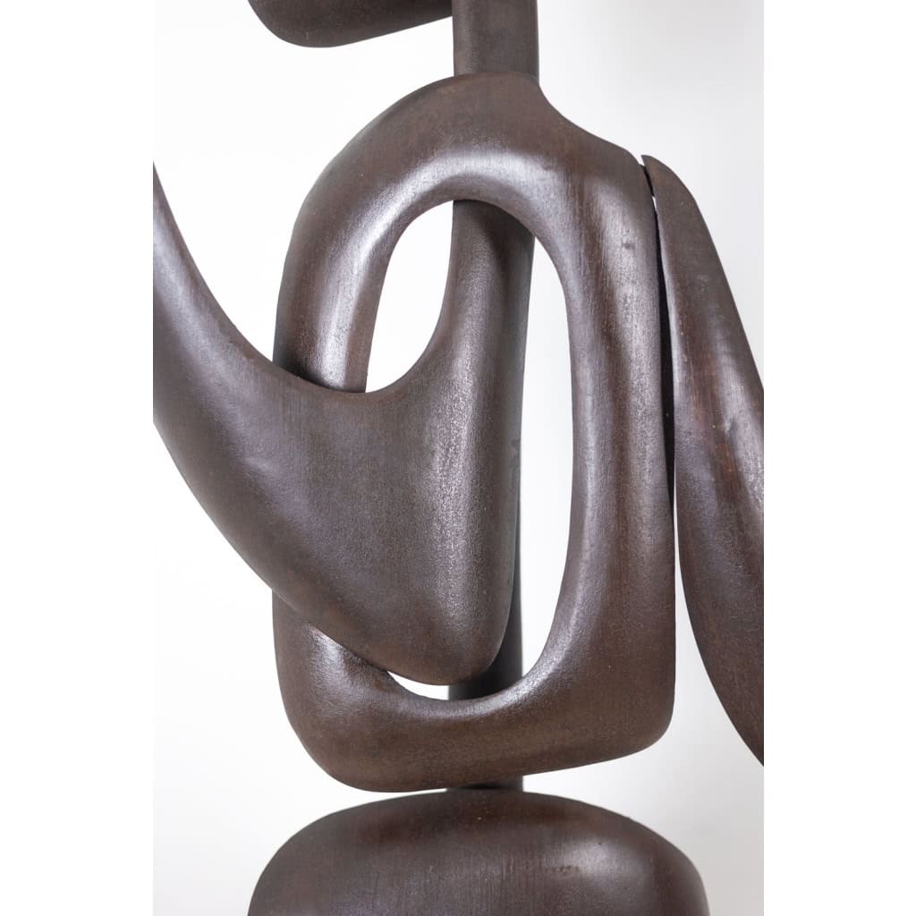 Antonine de Saint Pierre. Sculpture en métal bombé. Travail contemporain. LS62278160 9