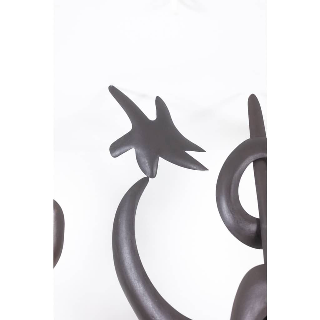 Antonine de Saint Pierre. Sculpture en métal bombé. Travail contemporain. LS62278160 13