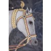 Toile peinte représentant un buste de cheval indien. Contemporain. LS6336576U 10