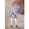 Toile peinte représentant un okapi sur un fond gris. Contemporain. LS63391621B 10